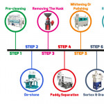 The Basic Processes of Rice Milling